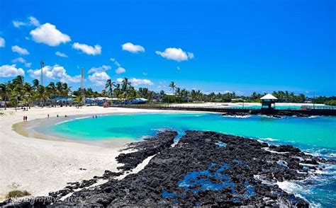 Unidades Educativas en ISABELA, Galápagos