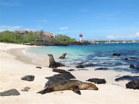 Unidades Educativas en SAN CRISTÓBAL, Galápagos