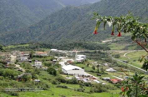 Unidades Educativas en QUIJOS, Napo