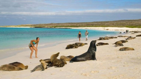 Escuelas y Colegios en Galápagos, Ecuador